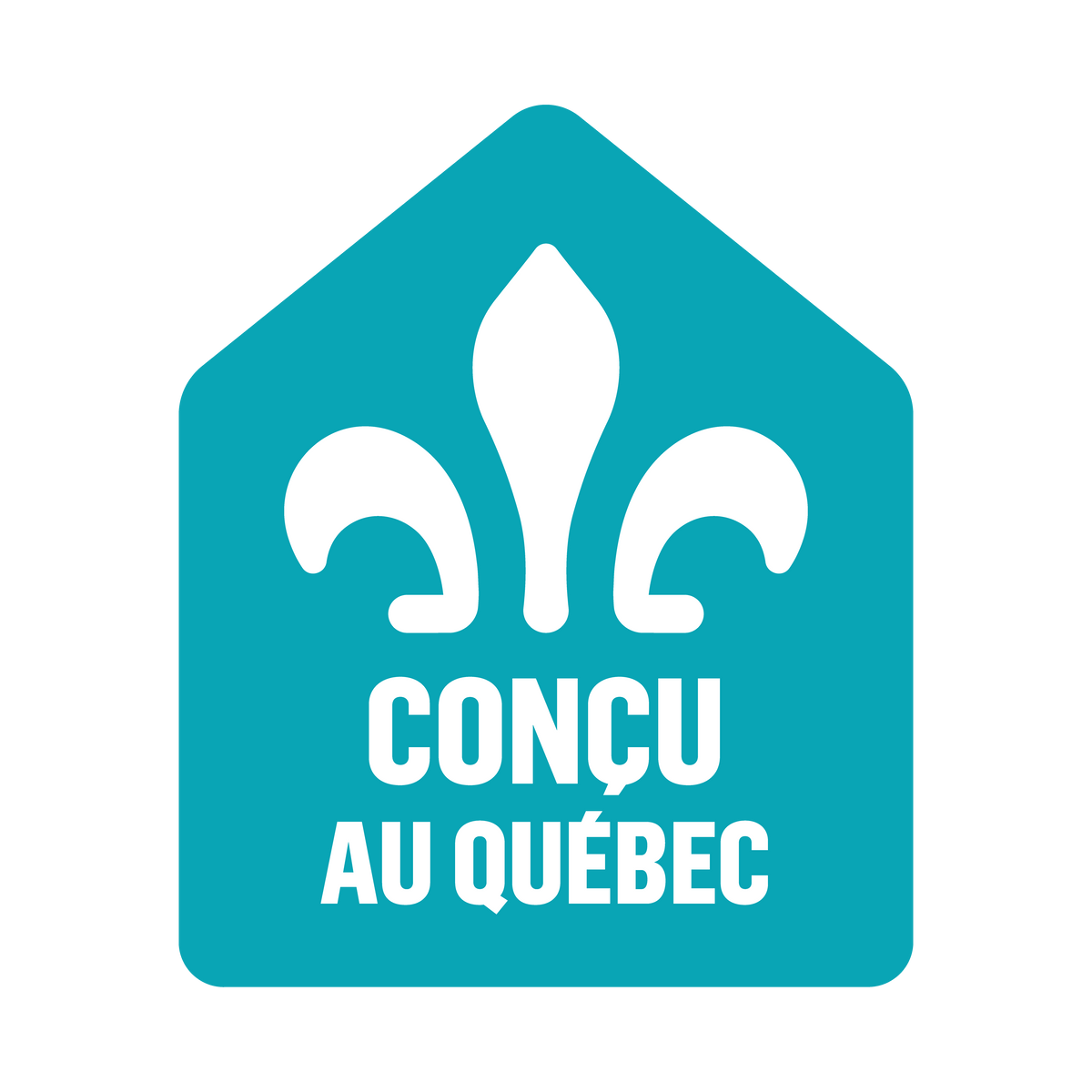 jouet Flek conçu au Québec
