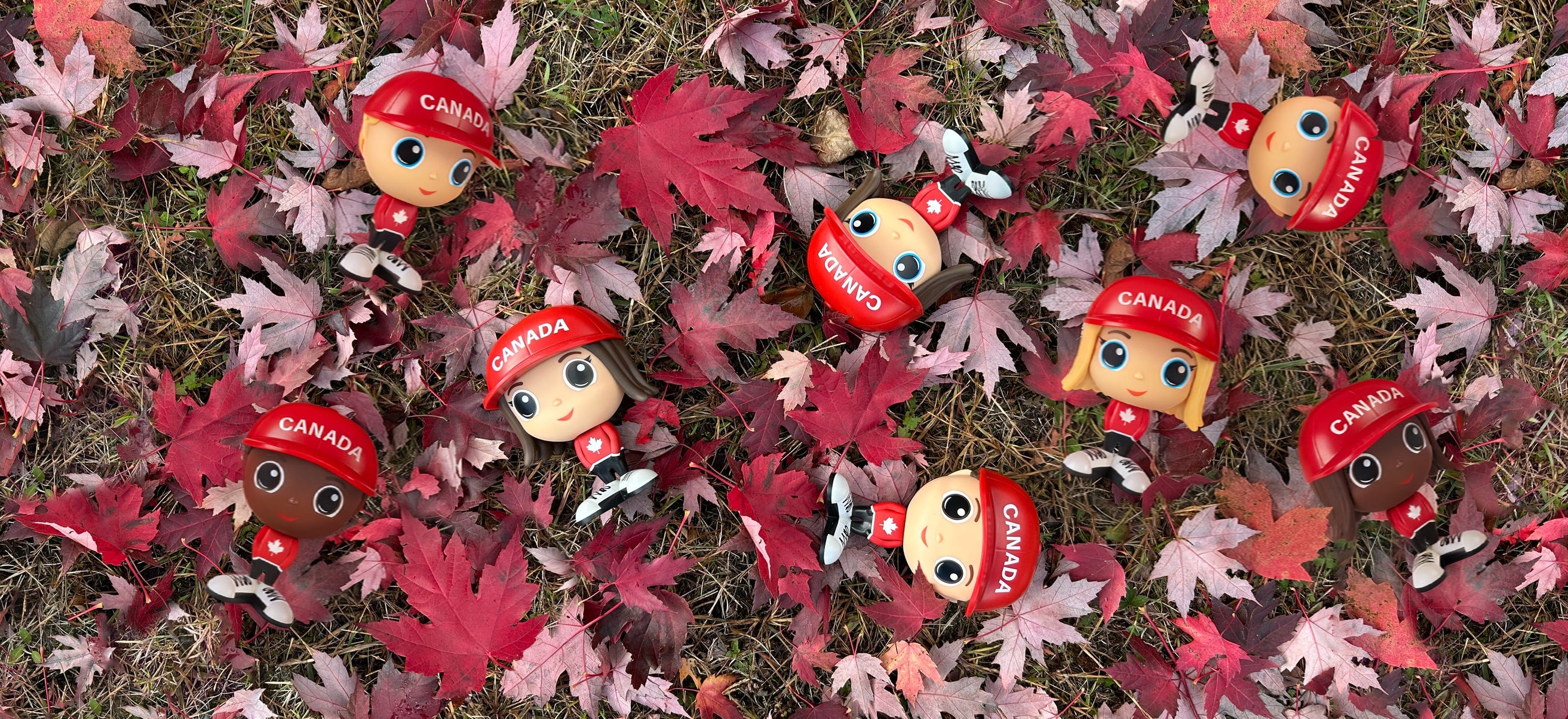 Flek Canada figures collection - Flek Toys Canadian Toys